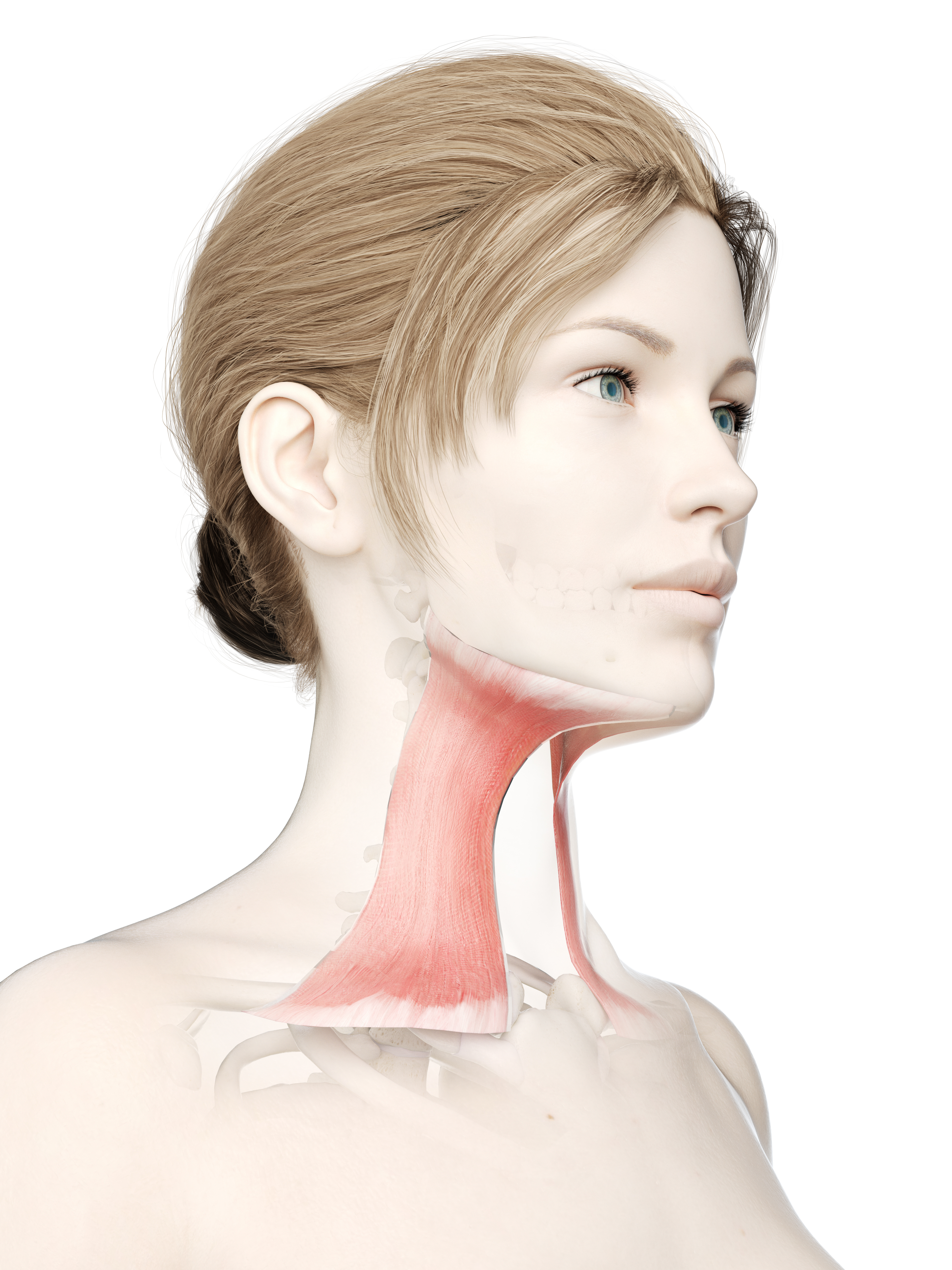 plastysmaplastiek plastysmaplastiek